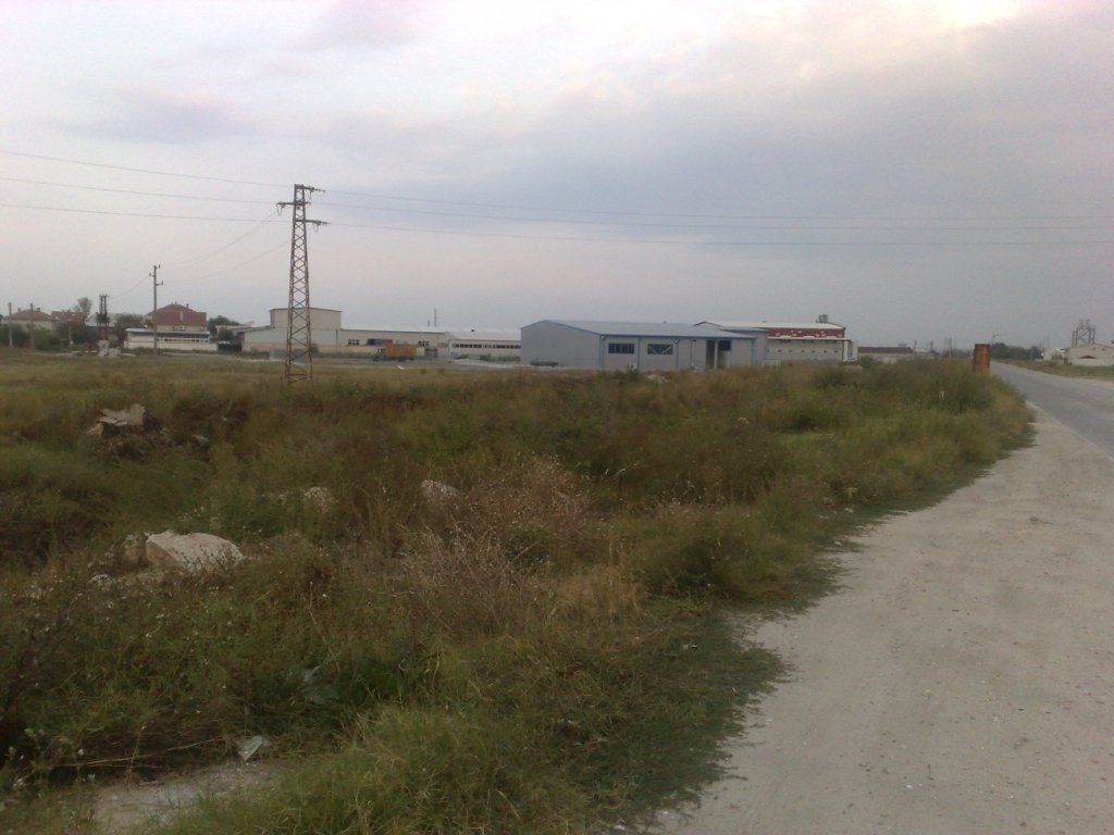Picture
